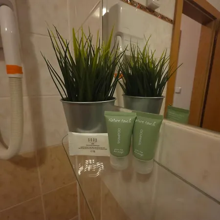 Anna Pensjonat 3*